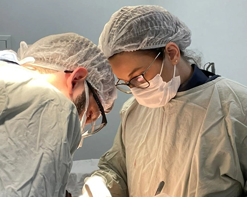 Carótida - imagem ilustrativa